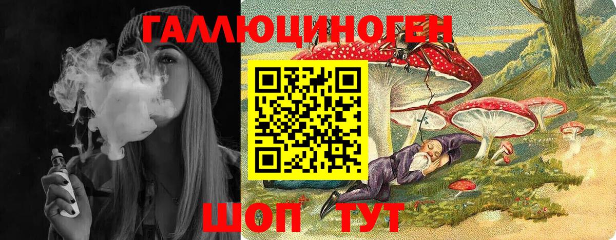 Галлюциногенные грибы Psilocybe  Вход с VPN  Кисловодск 