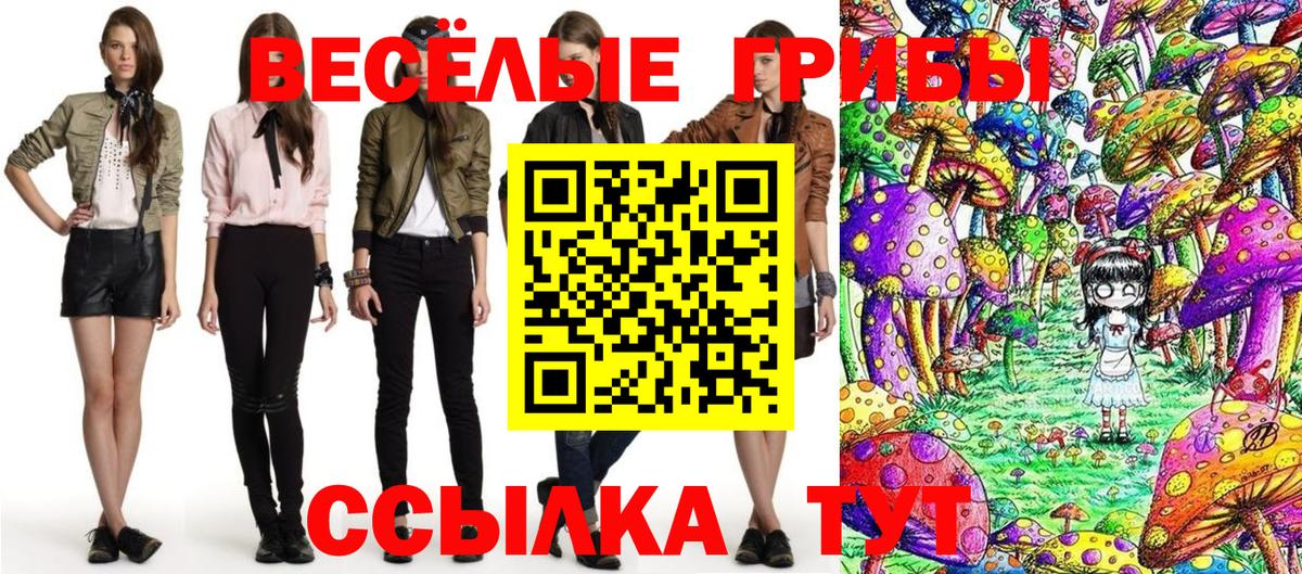 Псилоцибиновые грибы мухоморы Кисловодск